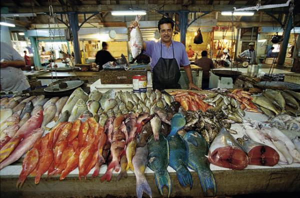 fish market